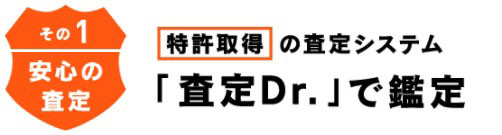 査定Dr.で鑑定