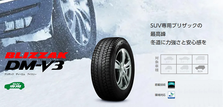 BRIDGESTONE BLIZZAK DM-V3